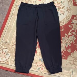 Anne Taylor joggers